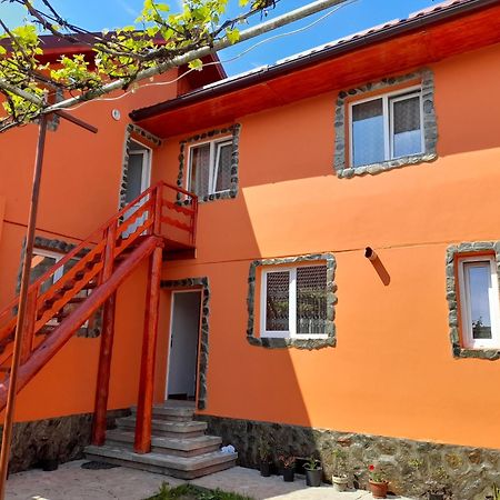 Отель Casa Alex Кырцишоара Экстерьер фото