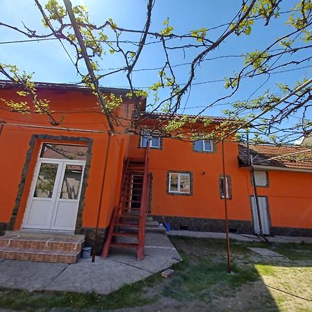 Отель Casa Alex Кырцишоара Экстерьер фото