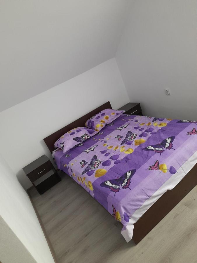 Отель Casa Alex Кырцишоара Экстерьер фото