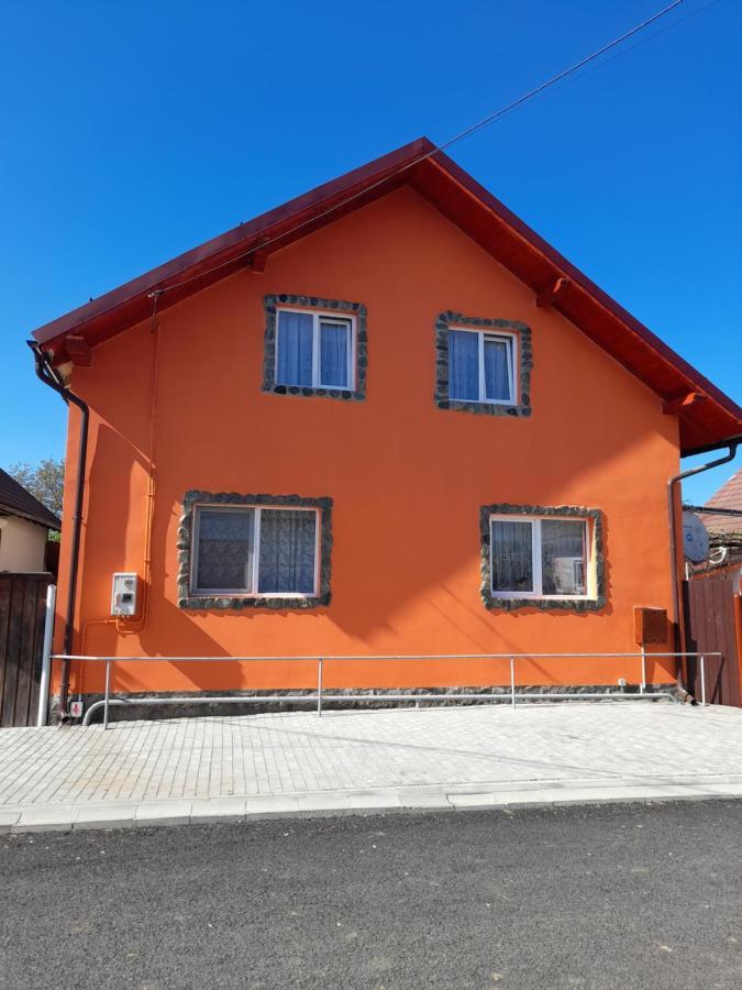 Отель Casa Alex Кырцишоара Экстерьер фото