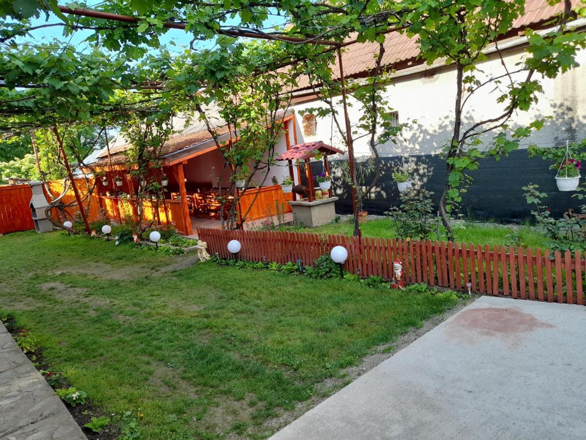 Отель Casa Alex Кырцишоара Экстерьер фото
