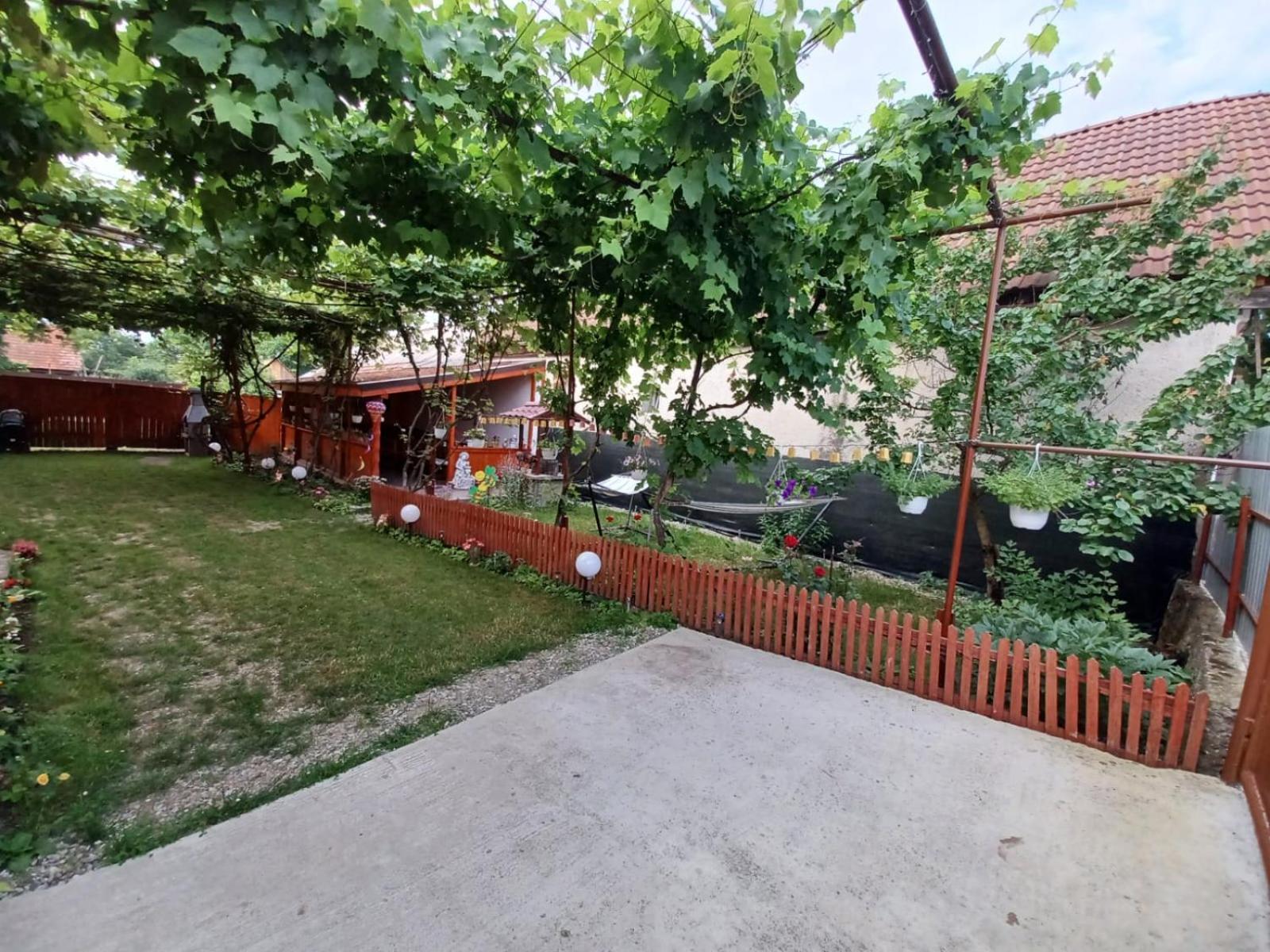 Отель Casa Alex Кырцишоара Экстерьер фото